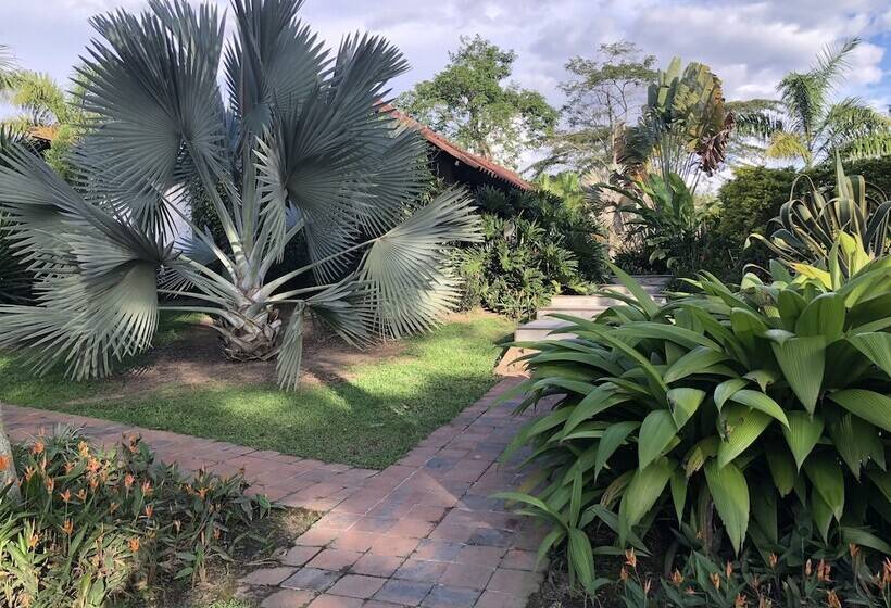 Finca Hotel Brasilia