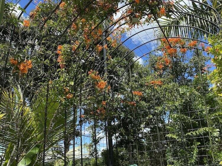 Finca Hotel Brasilia