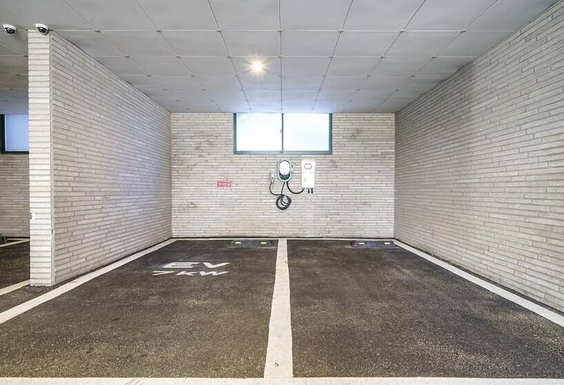 Hotel Gimhae Samgye Brown Dot