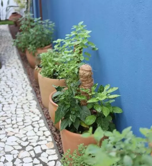 ホテル Green 53 Boutique