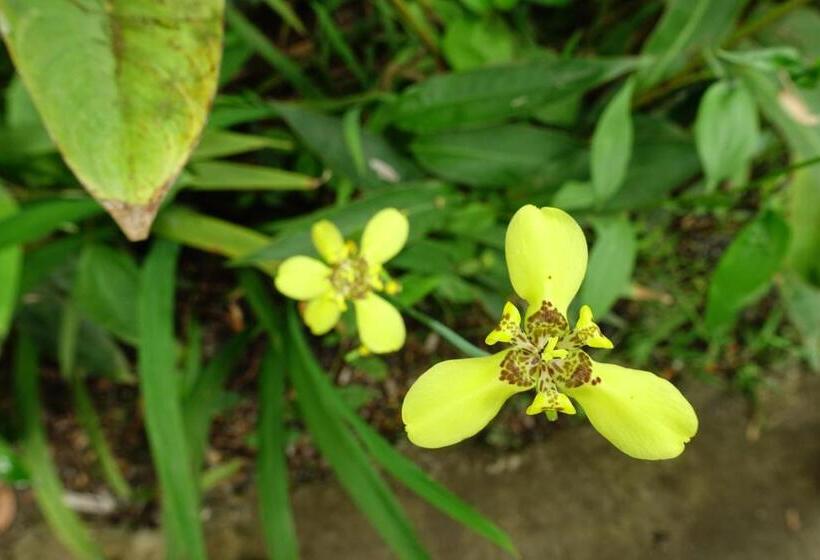 Hotel Cabañas Bambu Mindo