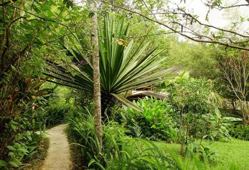هتل Cabañas Bambu Mindo