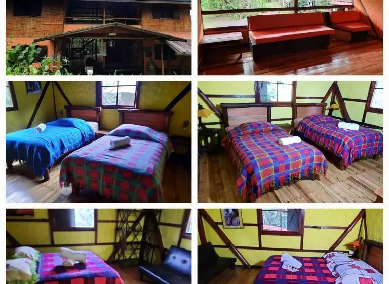 هتل Cabañas Bambu Mindo