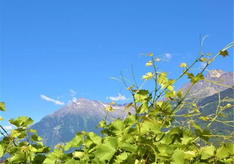 Villa Residence Franziskus