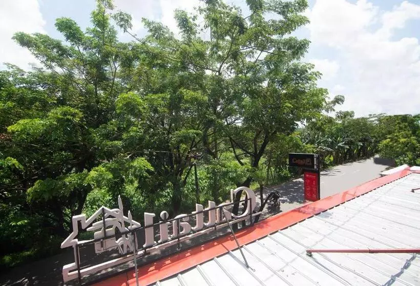 پانسیون Cattail Guest House Pontianak