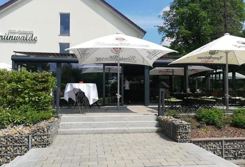 Отель Grünwalde