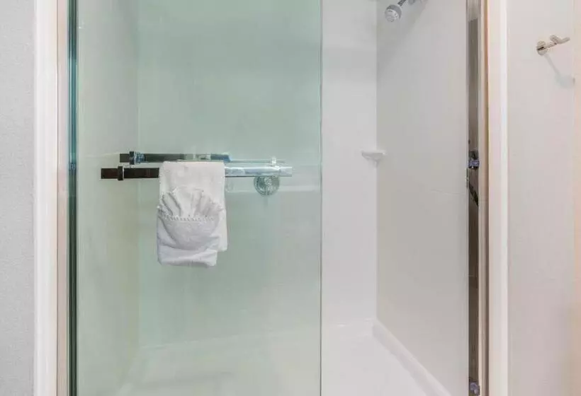 Hotelli La Quinta Inn And Suites By Wyndham Houston Spring South