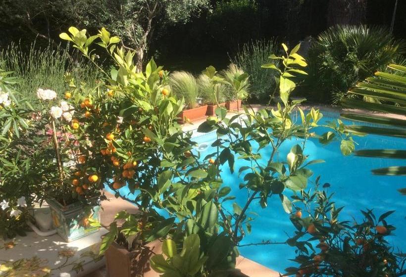 住宿加早餐  La Villa Rosalie