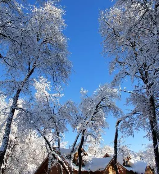 ホテル Complejo Turistico Los Hualles