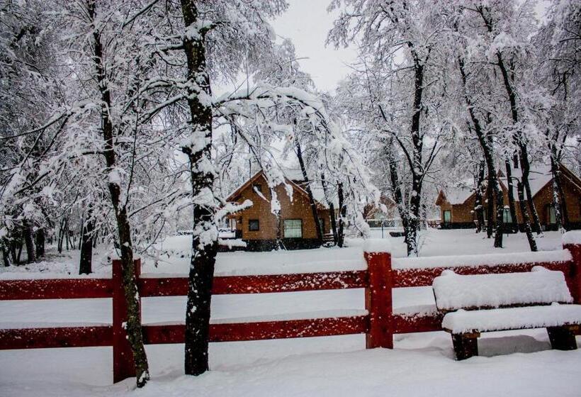 בית מלון כפרי Complejo Turistico Los Hualles