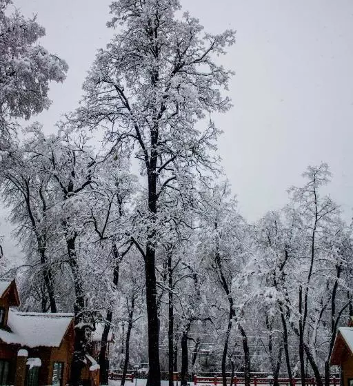 ホテル Complejo Turistico Los Hualles