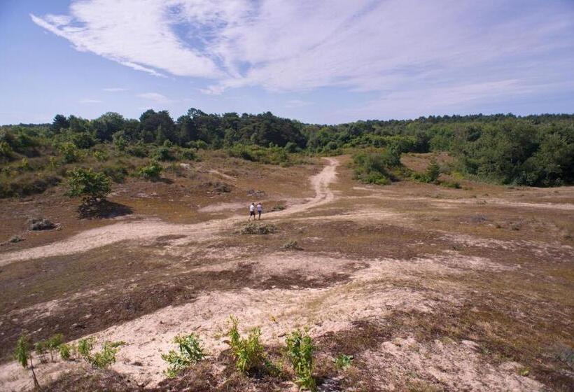 호텔 Hôtel Spa Domaine De Diane