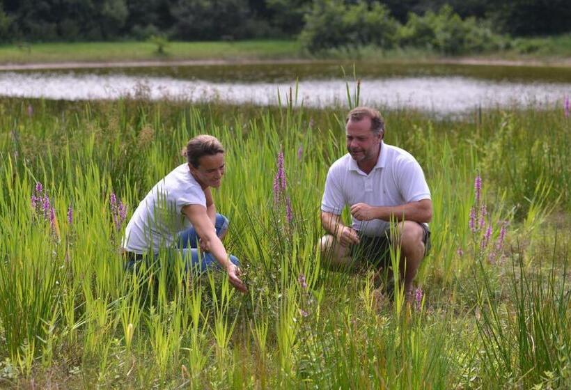 호텔 Hôtel Spa Domaine De Diane