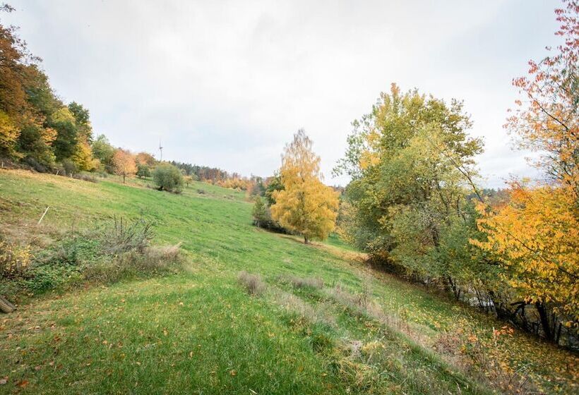 호텔 Schloss Buchenau