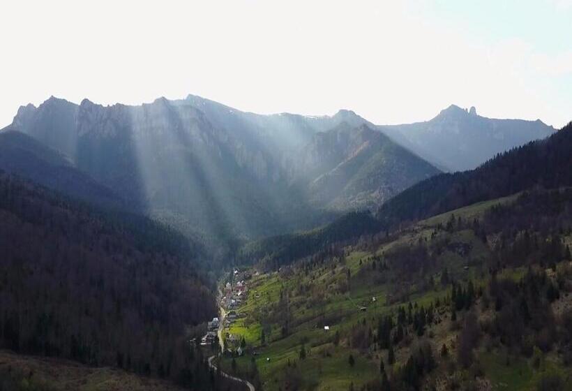 Pensiunea Aurora Izvorul Muntelui