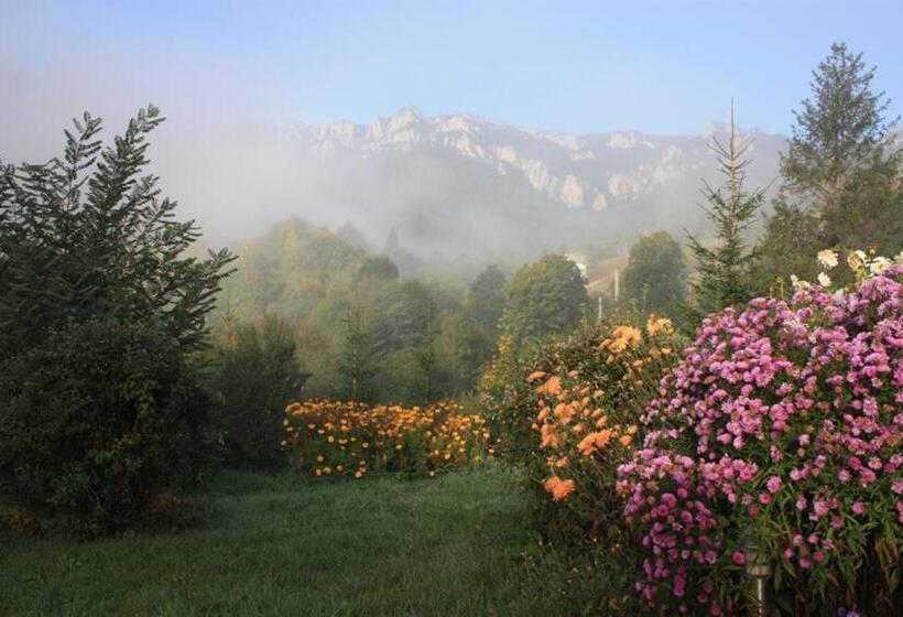 Pensiunea Aurora Izvorul Muntelui