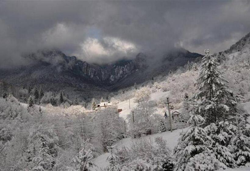 Pensiunea Aurora Izvorul Muntelui