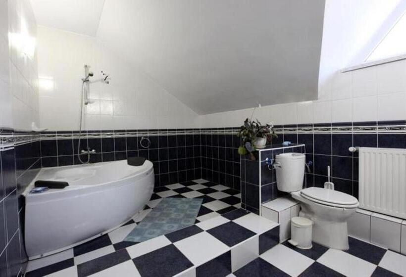 Pensiunea Aurora Izvorul Muntelui