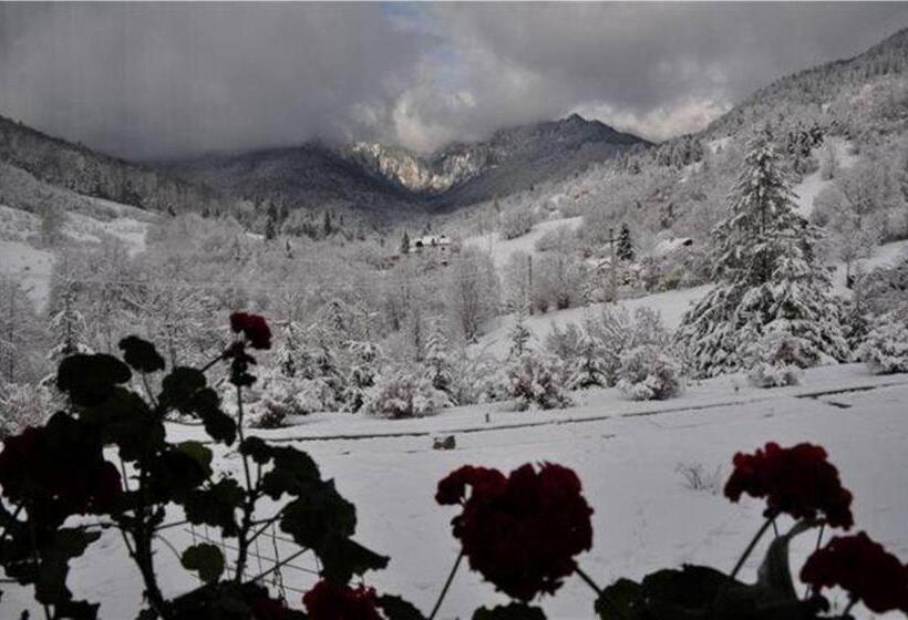 Pensiunea Aurora Izvorul Muntelui