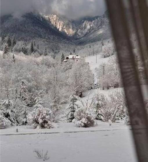 Pensiunea Aurora Izvorul Muntelui