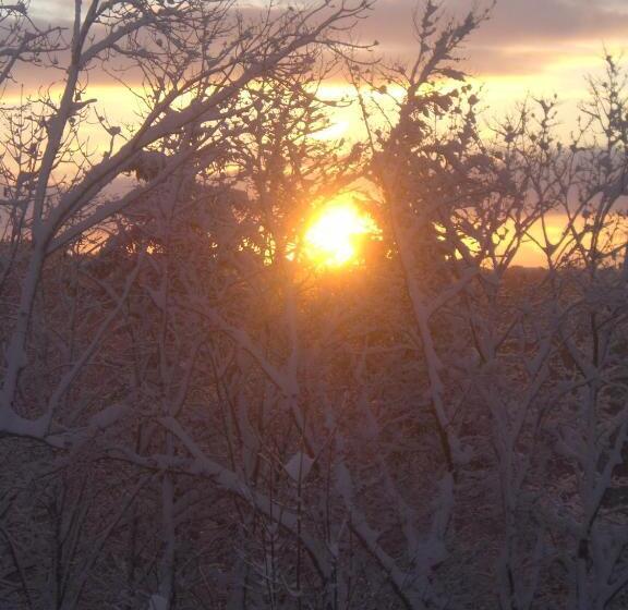 Отель Berghaus Knopfmacher