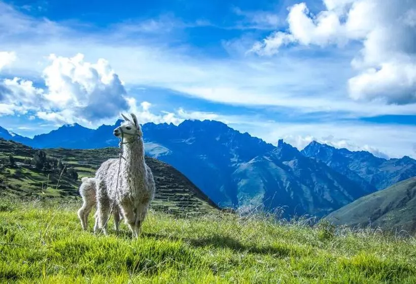 هتل California Calca