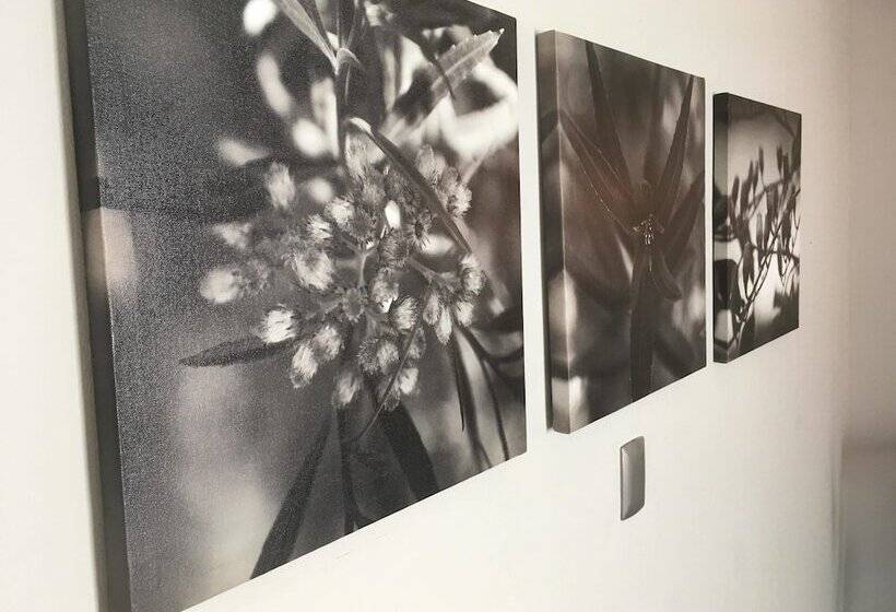 Отель Casa Calila