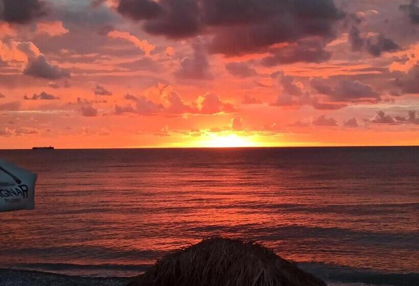 پانسیون Junona