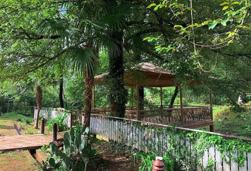 پانسیون Matua Guest House