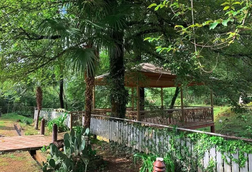 پانسیون Matua Guest House