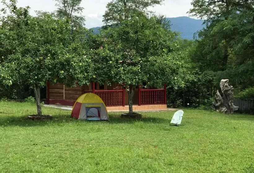 پانسیون Matua Guest House