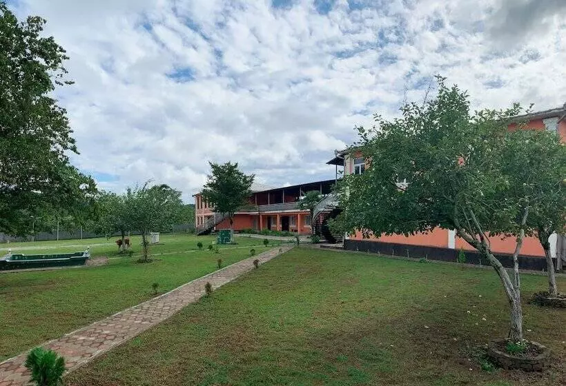 پانسیون Matua Guest House