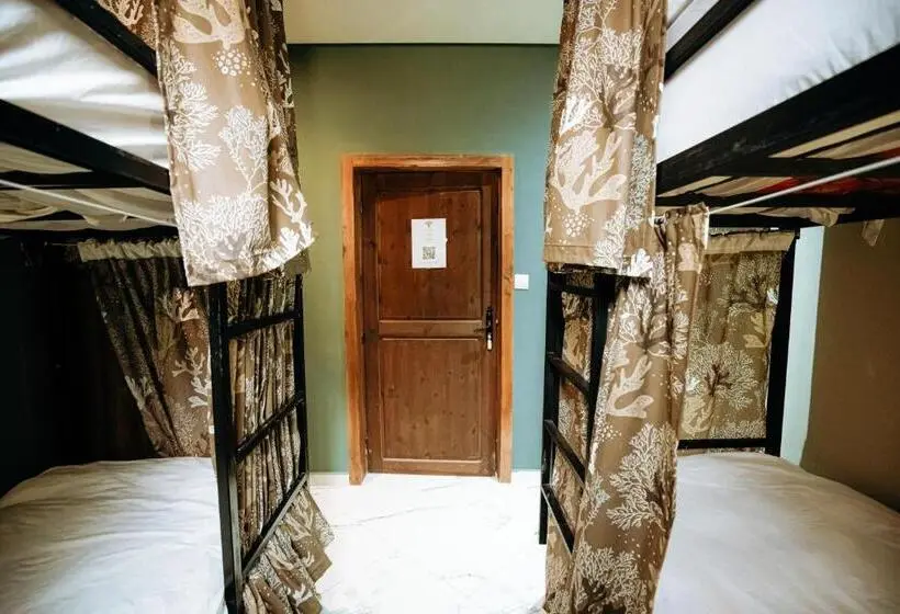 Rafiki Hostels Tamraght   Surf Riad And Camp