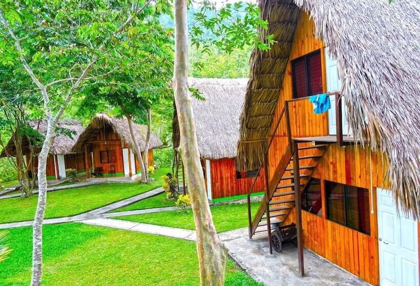 هاستل Oasis The Traveler