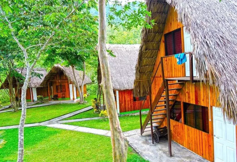 هاستل Oasis The Traveler