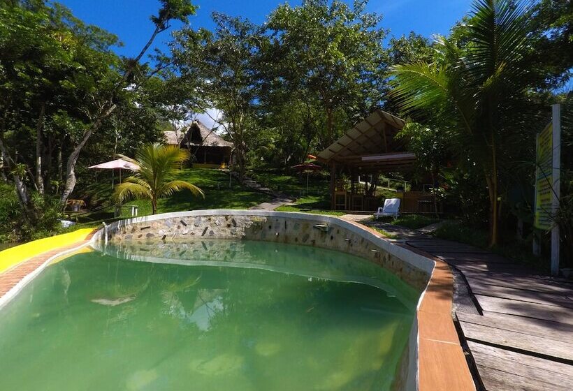 هاستل Oasis The Traveler