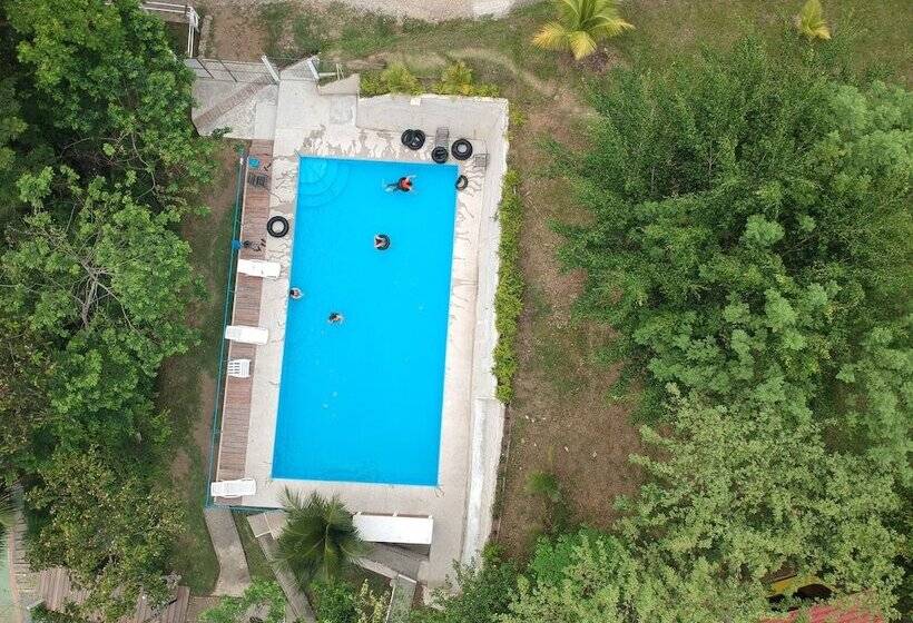 هاستل Oasis The Traveler