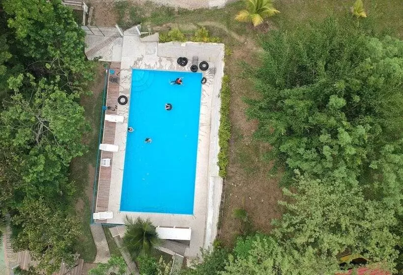 هاستل Oasis The Traveler