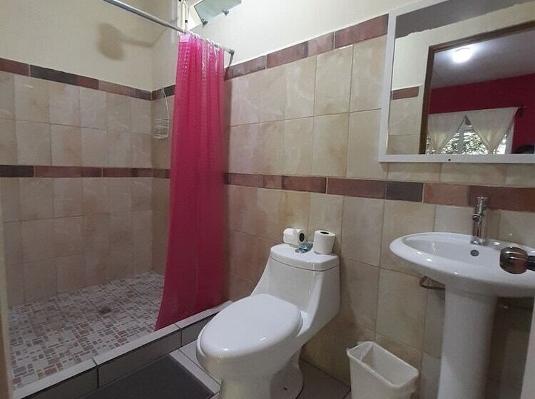 هاستل Oasis The Traveler