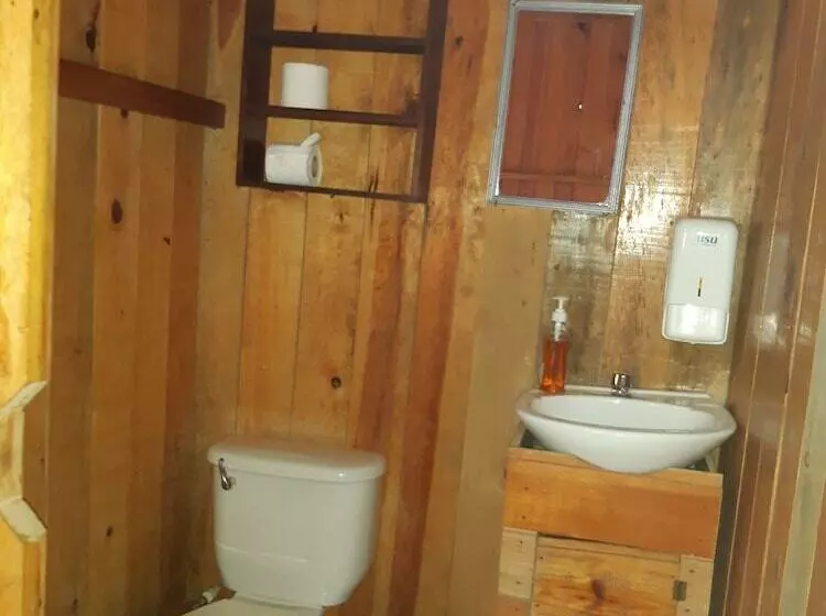 هاستل Oasis The Traveler