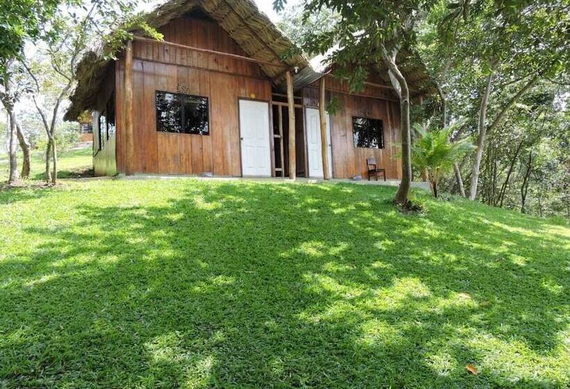 هاستل Oasis The Traveler