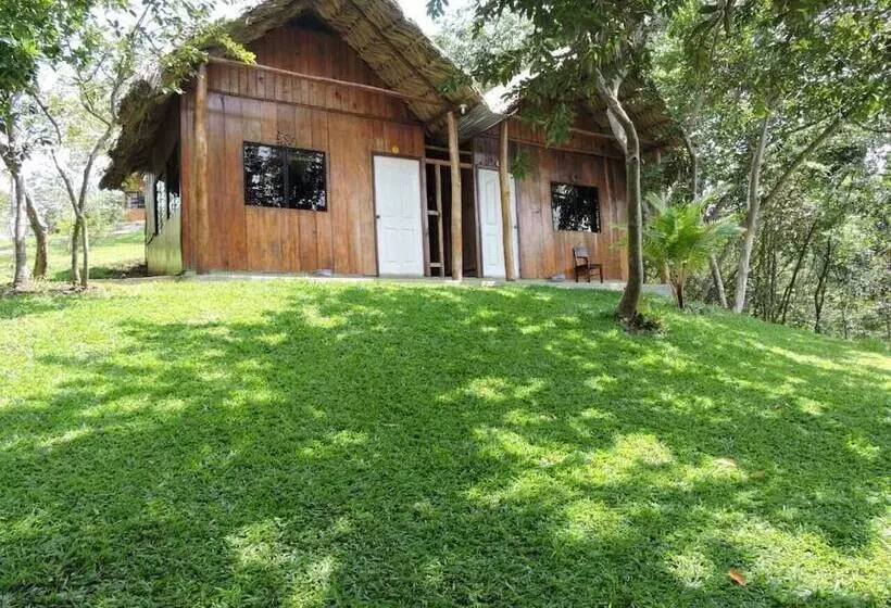 هاستل Oasis The Traveler