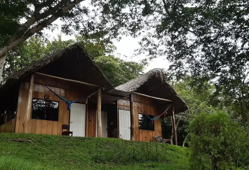 هاستل Oasis The Traveler