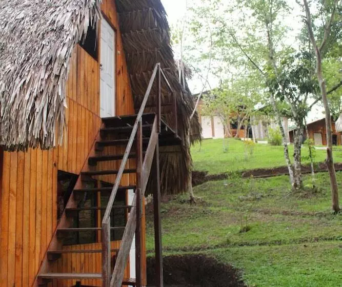 هاستل Oasis The Traveler