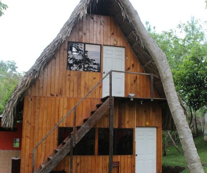 هاستل Oasis The Traveler