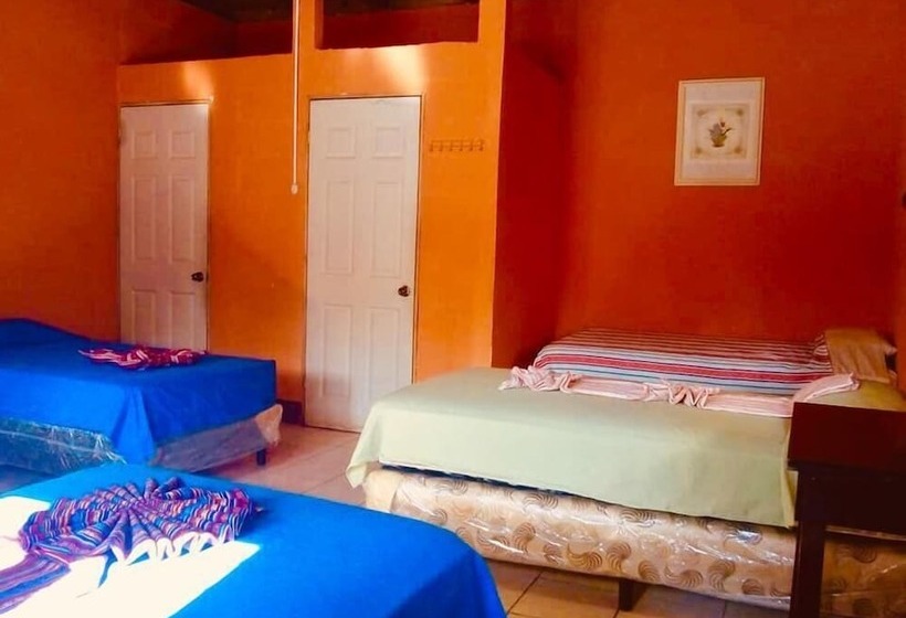 هاستل Oasis The Traveler