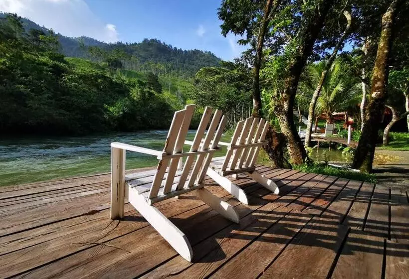 هاستل Oasis The Traveler