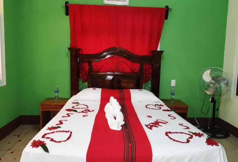 هاستل Oasis The Traveler