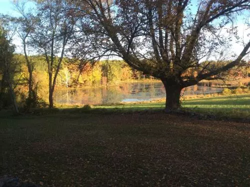 Aamiaismajoitus (B&B) Inn At Fox Hill Farm