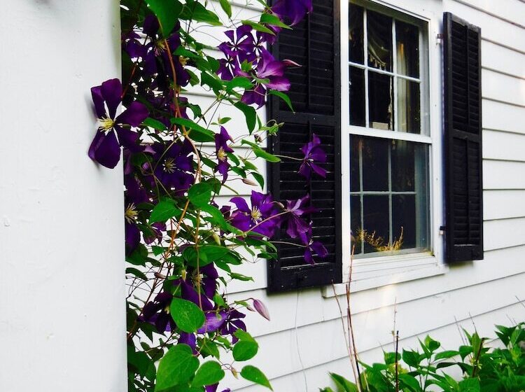 צימר Millbrook Country House